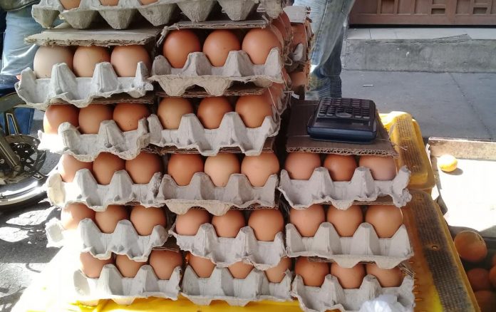 Un cartón de huevos se consigue entre Bs. 130.000 y Bs. 150.000, en la capital guariqueña. Foto: Pedro Izzo.